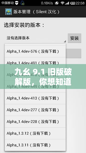 九幺 9.1 旧版破解版，你想知道的都在这里