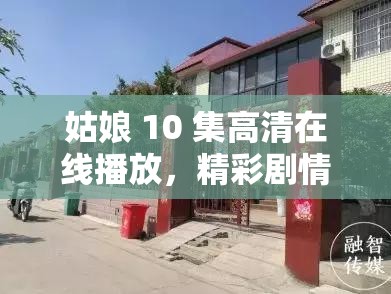 姑娘 10 集高清在线播放，精彩剧情何处寻？快来一探究竟吧