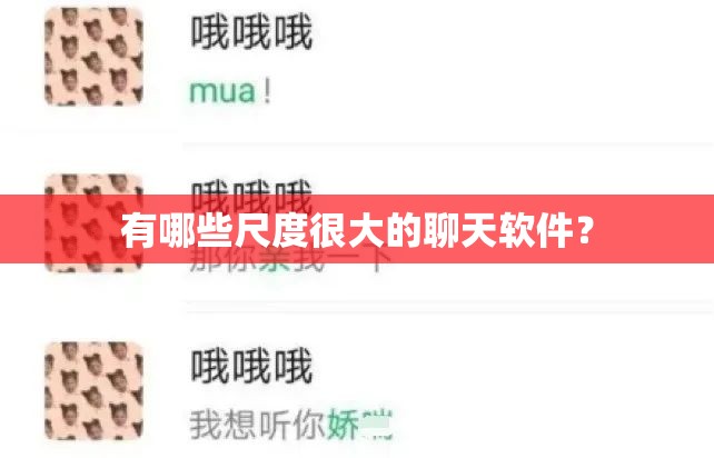 有哪些尺度很大的聊天软件？