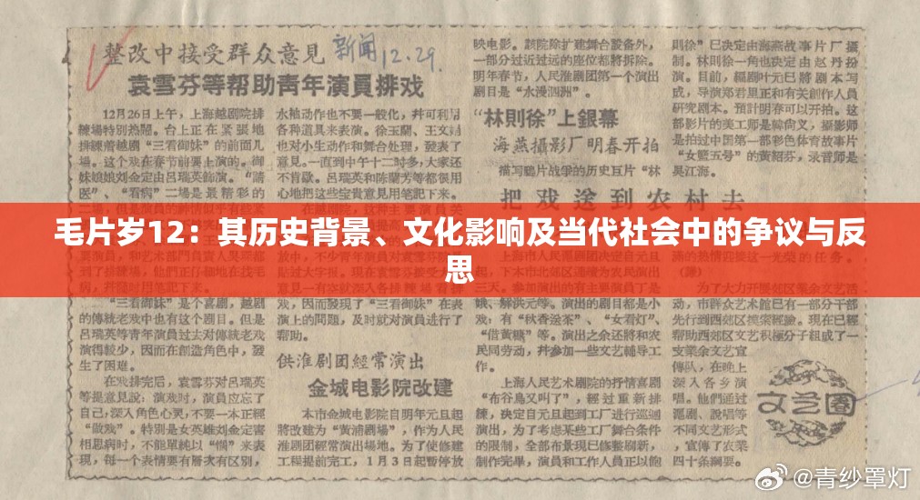 毛片岁12：其历史背景、文化影响及当代社会中的争议与反思