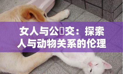 女人与公豬交：探索人与动物关系的伦理与心理深层解析