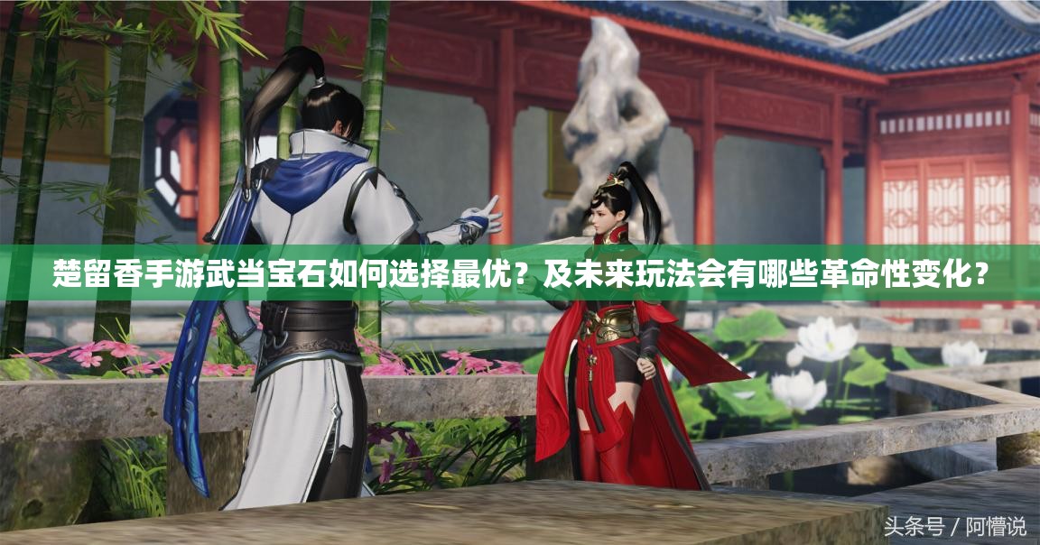 楚留香手游武当宝石如何选择最优？及未来玩法会有哪些革命性变化？