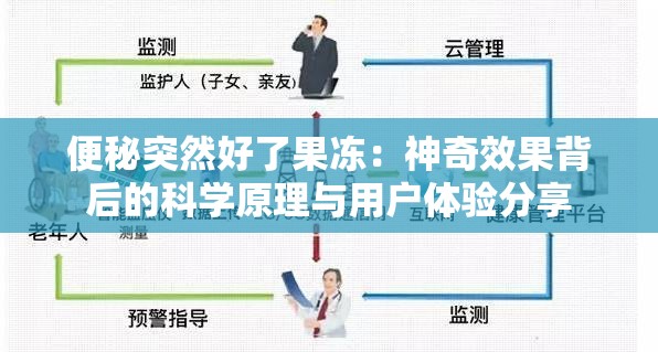 便秘突然好了果冻：神奇效果背后的科学原理与用户体验分享