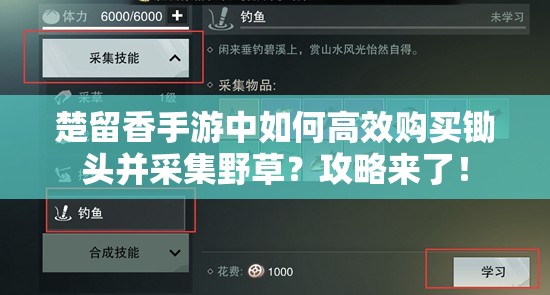 楚留香手游中如何高效购买锄头并采集野草？攻略来了！