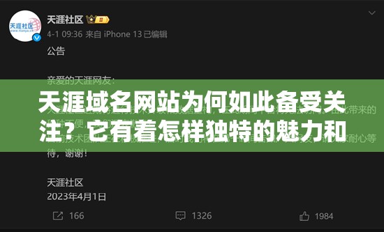 天涯域名网站为何如此备受关注？它有着怎样独特的魅力和价值？