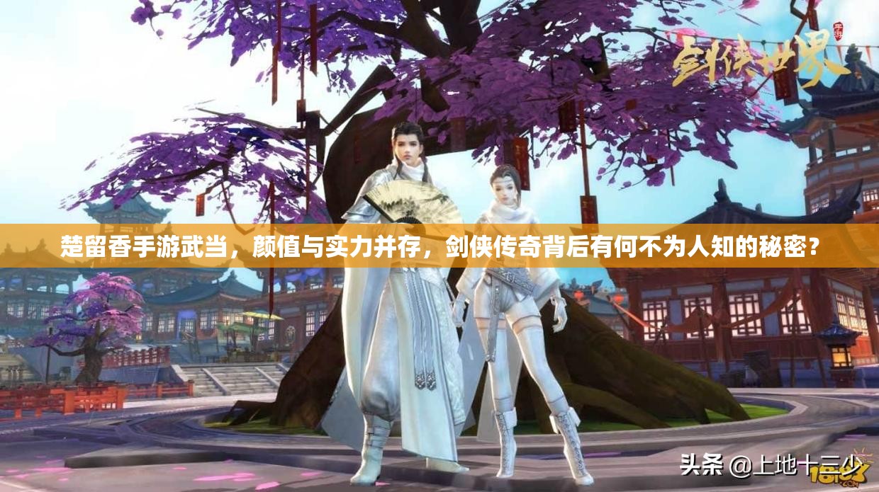 楚留香手游武当，颜值与实力并存，剑侠传奇背后有何不为人知的秘密？