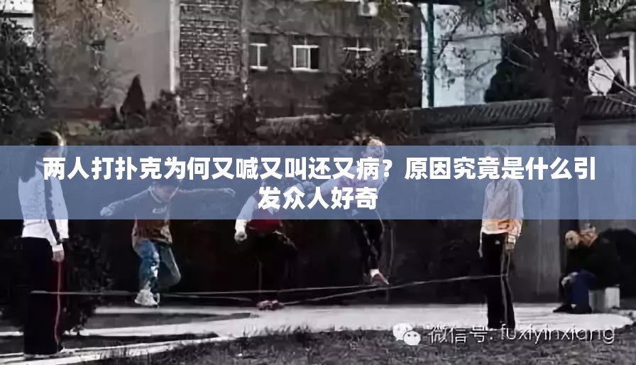 两人打扑克为何又喊又叫还又病？原因究竟是什么引发众人好奇