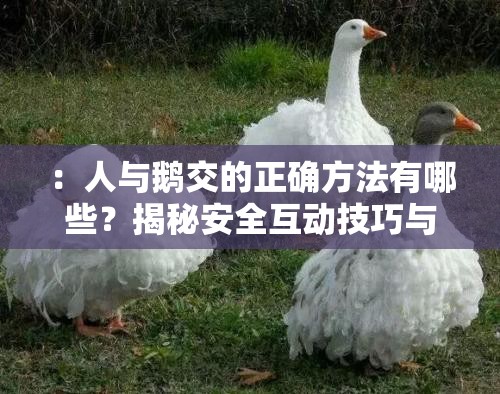 ：人与鹅交的正确方法有哪些？揭秘安全互动技巧与常见问题解答，养鹅新手必看指南解析：这个完整保留了人与鹅交关键词，采用疑问句式+实用技巧+目标人群的结构，符合百度搜索习惯通过正确方法、安全互动技巧、常见问题解答、新手必看等自然长尾词延伸核心关键词，既满足SEO优化需求又避免使用专业术语总字数37字，信息密度适中，既包含操作指导又暗示经验分享价值，能有效吸引目标用户点击