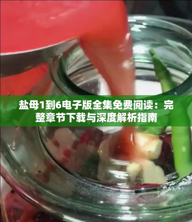 盐母1到6电子版全集免费阅读：完整章节下载与深度解析指南