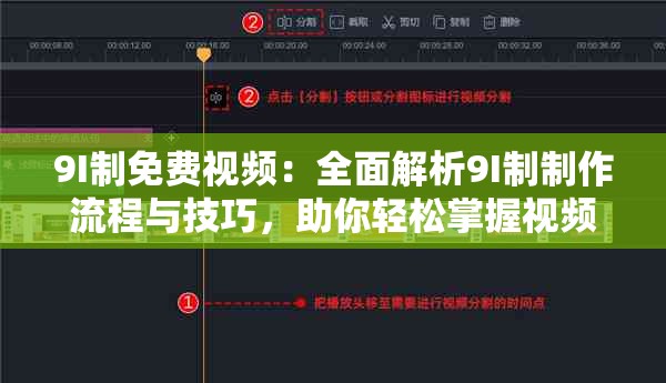 9I制免费视频：全面解析9I制制作流程与技巧，助你轻松掌握视频制作精髓