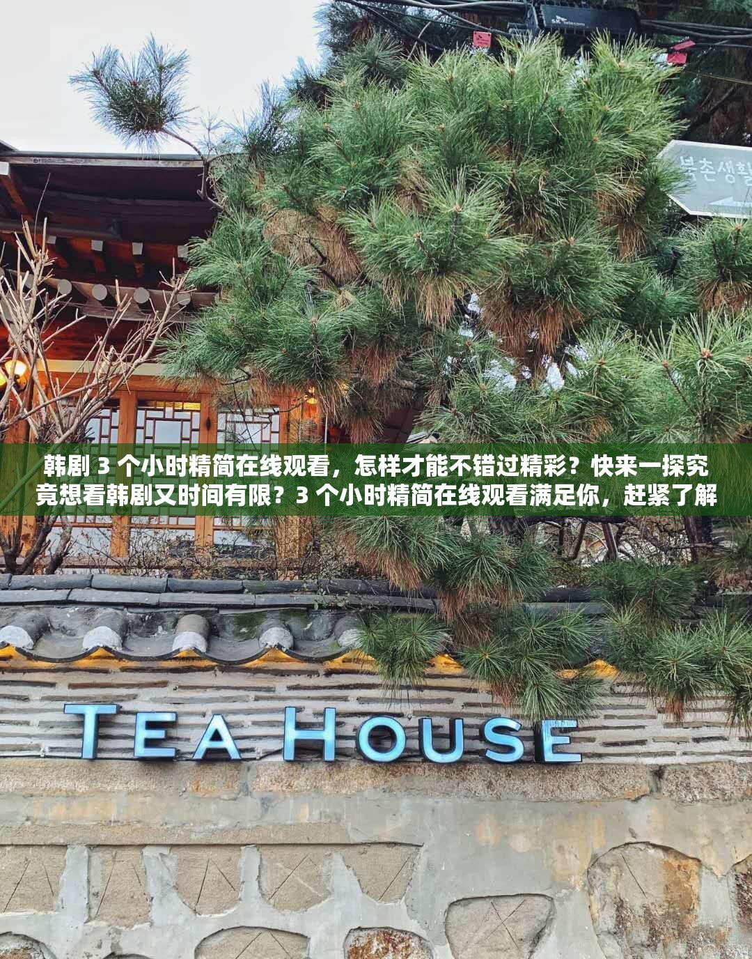 韩剧 3 个小时精简在线观看，怎样才能不错过精彩？快来一探究竟想看韩剧又时间有限？3 个小时精简在线观看满足你，赶紧了解韩剧 3 个小时精简在线观看，这种便捷方式你知道多少？进来瞧瞧3 个小时精简在线观看韩剧，精彩内容如何快速尽收眼底？点这里