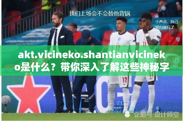 akt.vicineko.shantianvicineko是什么？带你深入了解这些神秘字符的含义与背后故事