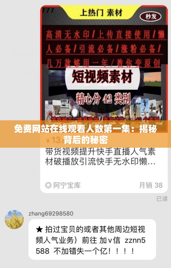 免费网站在线观看人数第一集：揭秘背后的秘密