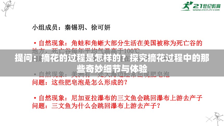 提问：摘花的过程是怎样的？探究摘花过程中的那些奇妙细节与体验