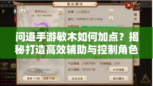 问道手游敏木如何加点？揭秘打造高效辅助与控制角色的秘诀