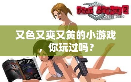 又色又爽又黄的小游戏，你玩过吗？