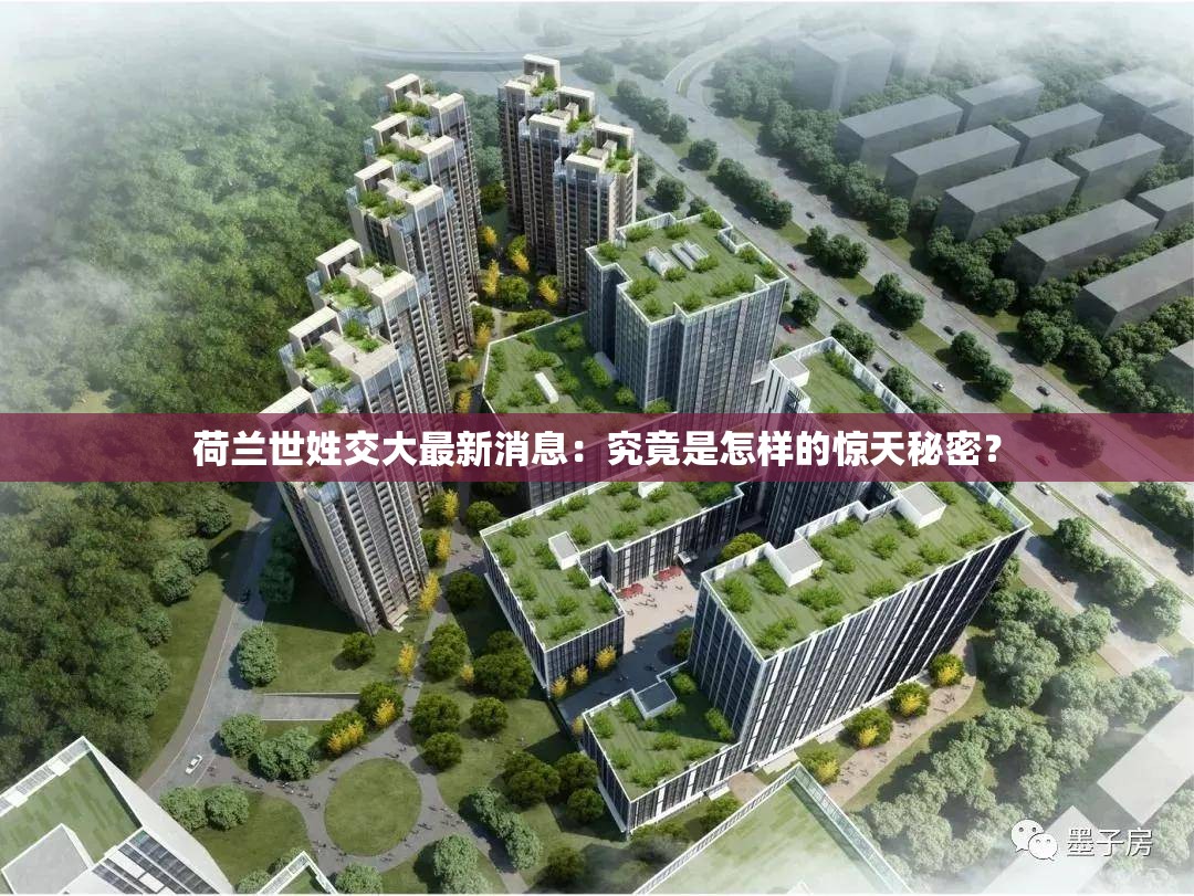 荷兰世姓交大最新消息：究竟是怎样的惊天秘密？