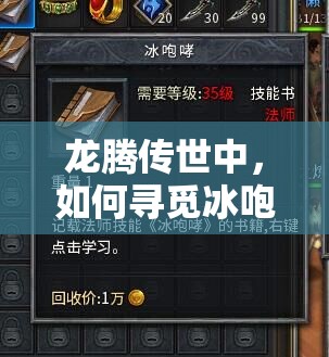 龙腾传世中，如何寻觅冰咆哮技能书并揭秘玄冰刃学习之谜？