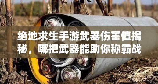 绝地求生手游武器伤害值揭秘，哪把武器能助你称霸战场？