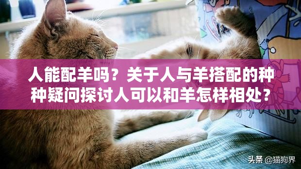 人能配羊吗？关于人与羊搭配的种种疑问探讨人可以和羊怎样相处？关于人与羊关系的思考人能否与羊进行某种特殊的结合？引发好奇的相关探讨