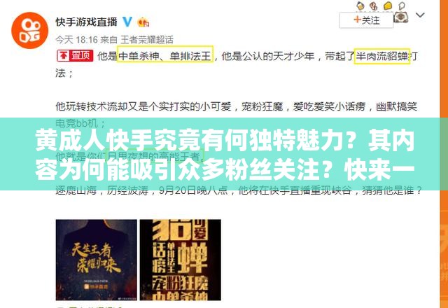 黄成人快手究竟有何独特魅力？其内容为何能吸引众多粉丝关注？快来一探究竟