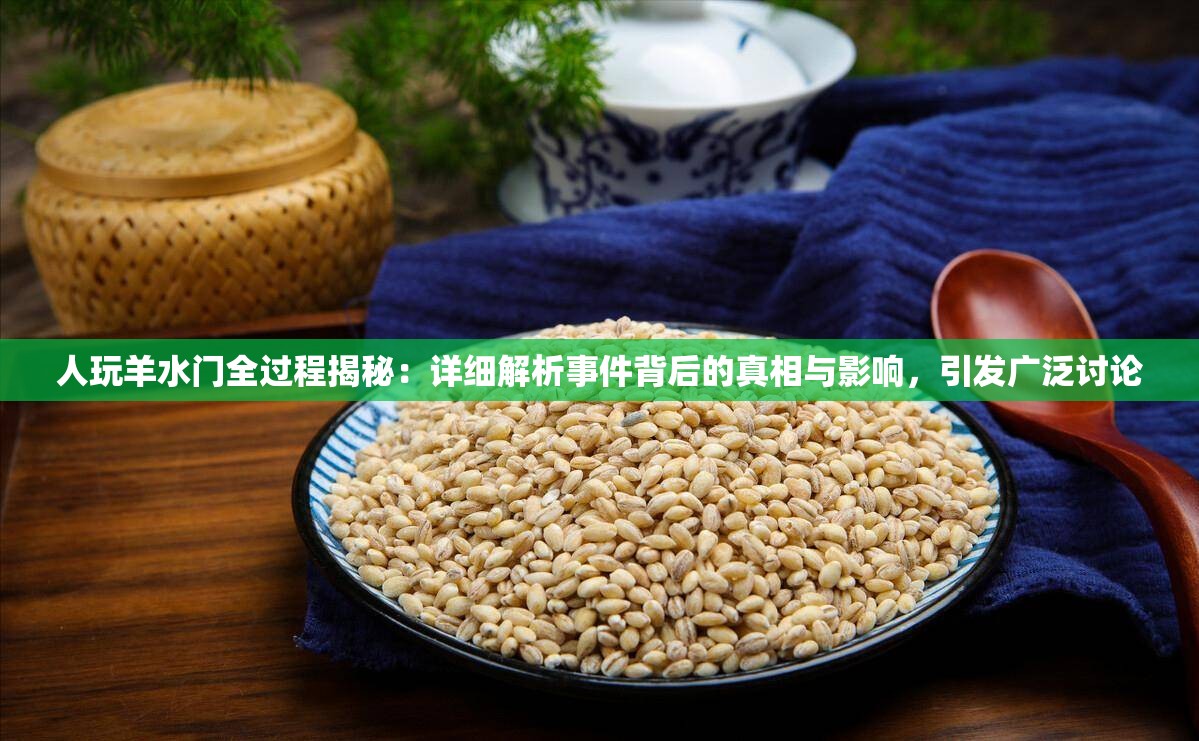 人玩羊水门全过程揭秘：详细解析事件背后的真相与影响，引发广泛讨论