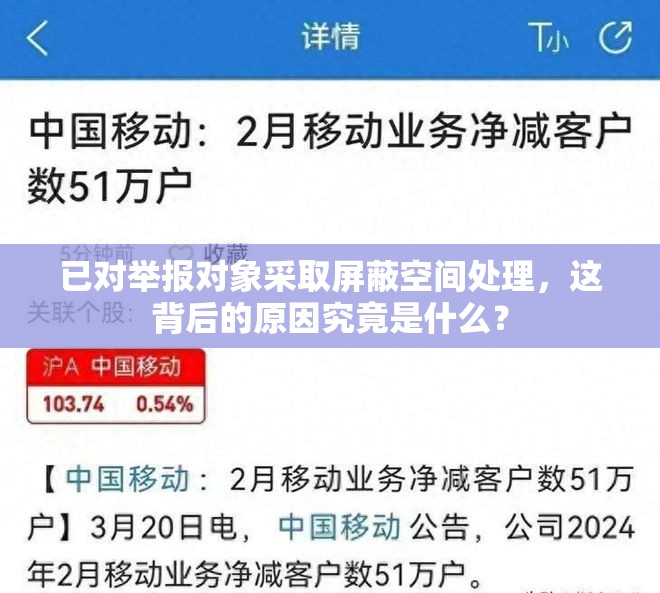 已对举报对象采取屏蔽空间处理，这背后的原因究竟是什么？