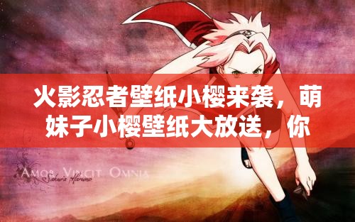 火影忍者壁纸小樱来袭，萌妹子小樱壁纸大放送，你喜欢这样的她吗？