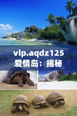 vip.aqdz125爱情岛：揭秘浪漫岛屿的独特魅力与最佳旅行攻略