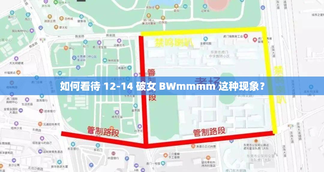 如何看待 12-14 破女 BWmmmm 这种现象？