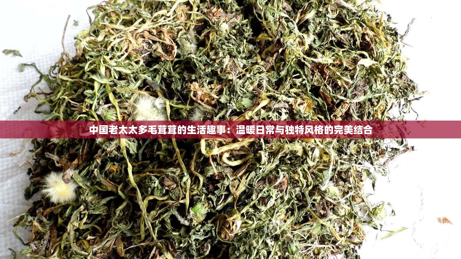 中国老太太多毛茸茸的生活趣事：温暖日常与独特风格的完美结合
