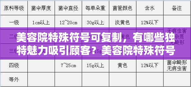 美容院特殊符号可复制，有哪些独特魅力吸引顾客？美容院特殊符号可复制，能带来怎样惊艳的美容效果？美容院特殊符号可复制，其背后蕴含着怎样的专业奥秘？