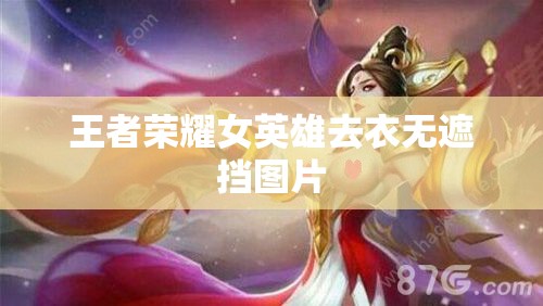 王者荣耀女英雄去衣无遮挡图片