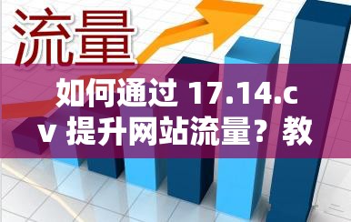 如何通过 17.14.cv 提升网站流量？教你几招实用技巧