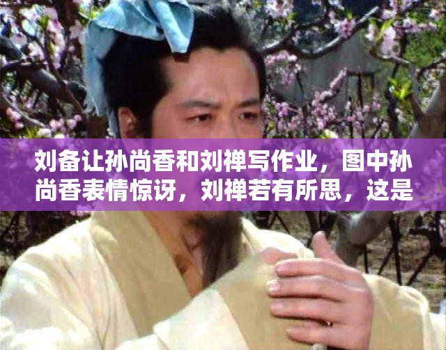 刘备让孙尚香和刘禅写作业，图中孙尚香表情惊讶，刘禅若有所思，这是什么情况？