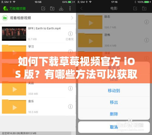 如何下载草莓视频官方 iOS 版？有哪些方法可以获取？