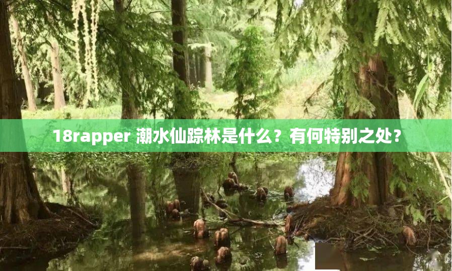 18rapper 潮水仙踪林是什么？有何特别之处？