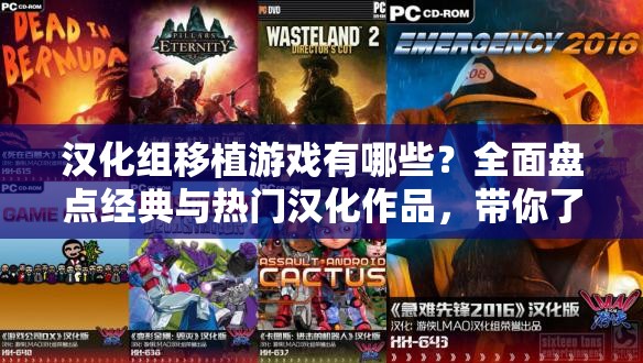 汉化组移植游戏有哪些？全面盘点经典与热门汉化作品，带你了解汉化组背后的故事与游戏移植的奇妙旅程