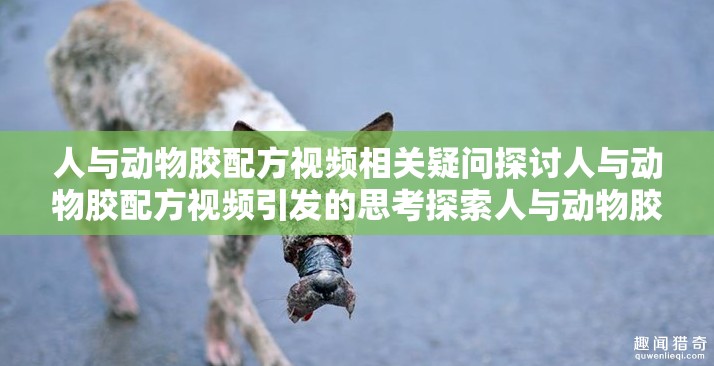 人与动物胶配方视频相关疑问探讨人与动物胶配方视频引发的思考探索人与动物胶配方视频背后的奥秘关于人与动物胶配方视频的种种疑问深入了解人与动物胶配方视频的要点剖析人与动物胶配方视频的关键之处解读人与动物胶配方视频的独特之处人与动物胶配方视频带来的诸多疑惑探寻人与动物胶配方视频的神秘面纱