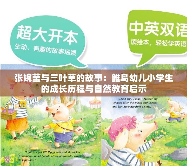 张婉莹与三叶草的故事：雏鸟幼儿小学生的成长历程与自然教育启示