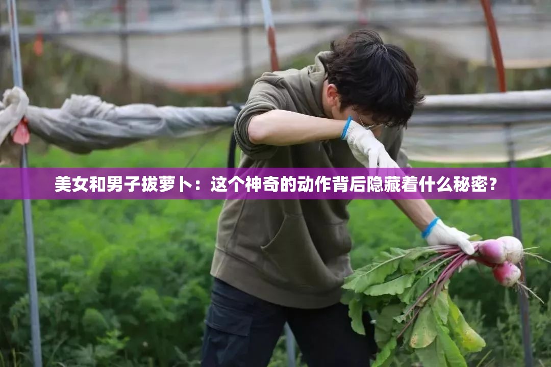 美女和男子拔萝卜：这个神奇的动作背后隐藏着什么秘密？