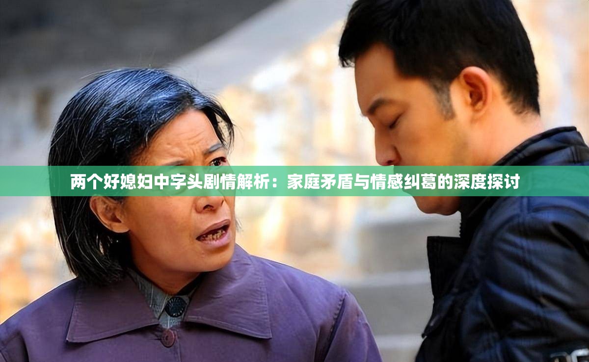 两个好媳妇中字头剧情解析：家庭矛盾与情感纠葛的深度探讨