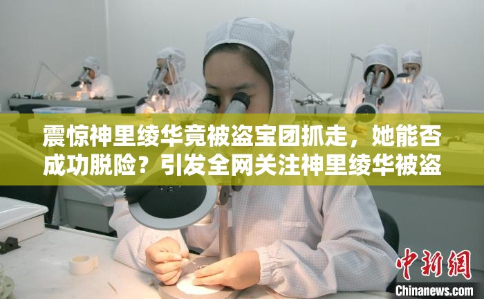 震惊神里绫华竟被盗宝团抓走，她能否成功脱险？引发全网关注神里绫华被盗宝团抓去，这背后究竟隐藏着怎样的阴谋与危机？神里绫华被盗宝团抓走，广大玩家心急如焚，后续情况究竟如何？