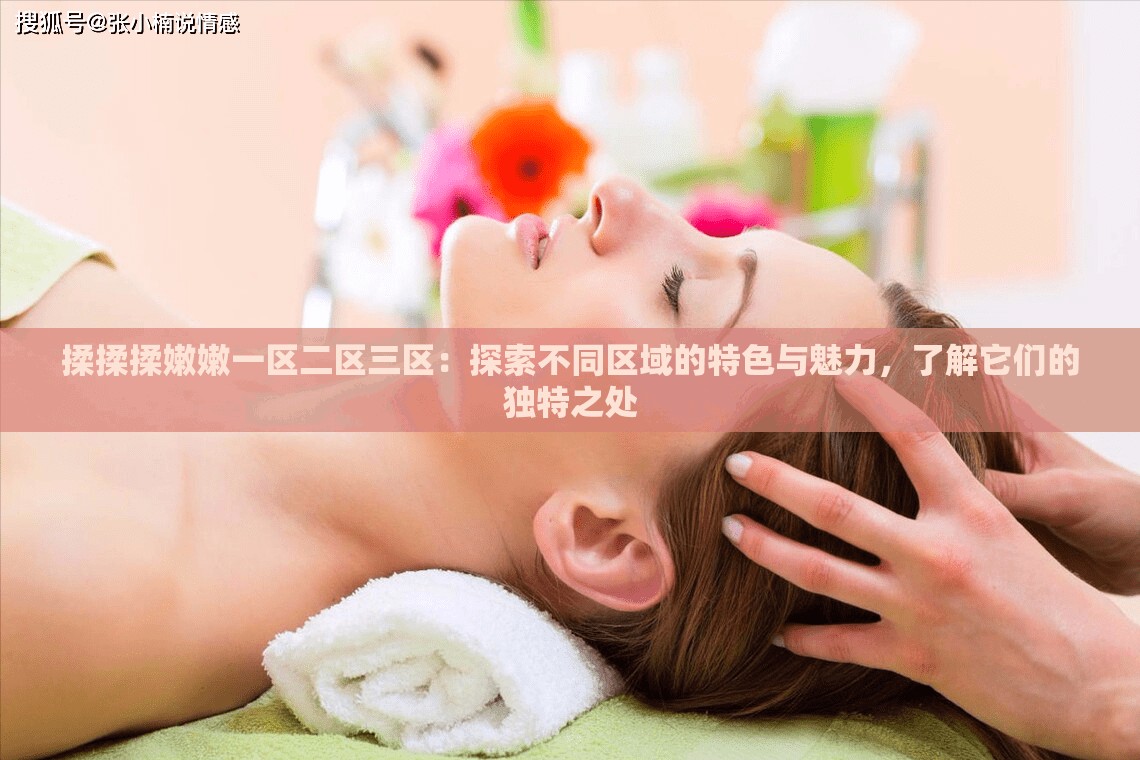 揉揉揉嫩嫩一区二区三区：探索不同区域的特色与魅力，了解它们的独特之处