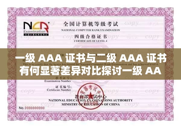 一级 AAA 证书与二级 AAA 证书有何显著差异对比探讨一级 AAA 证书和二级 AAA 证书区别究竟在哪里对比分析一级 AAA 证书与二级 AAA 证书优劣对比解读关键在哪