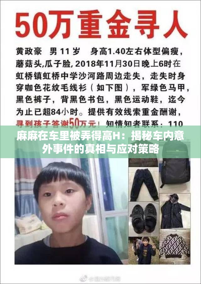 麻麻在车里被弄得高H：揭秘车内意外事件的真相与应对策略