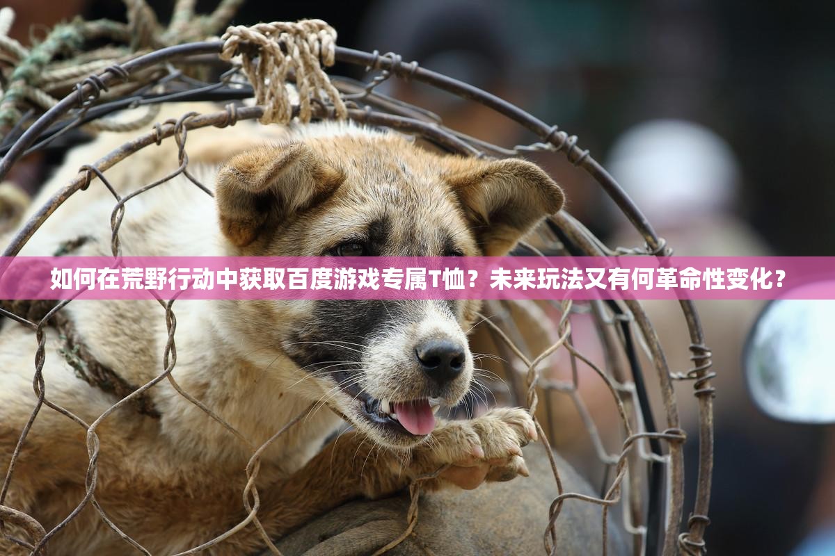 如何在荒野行动中获取百度游戏专属T恤？未来玩法又有何革命性变化？