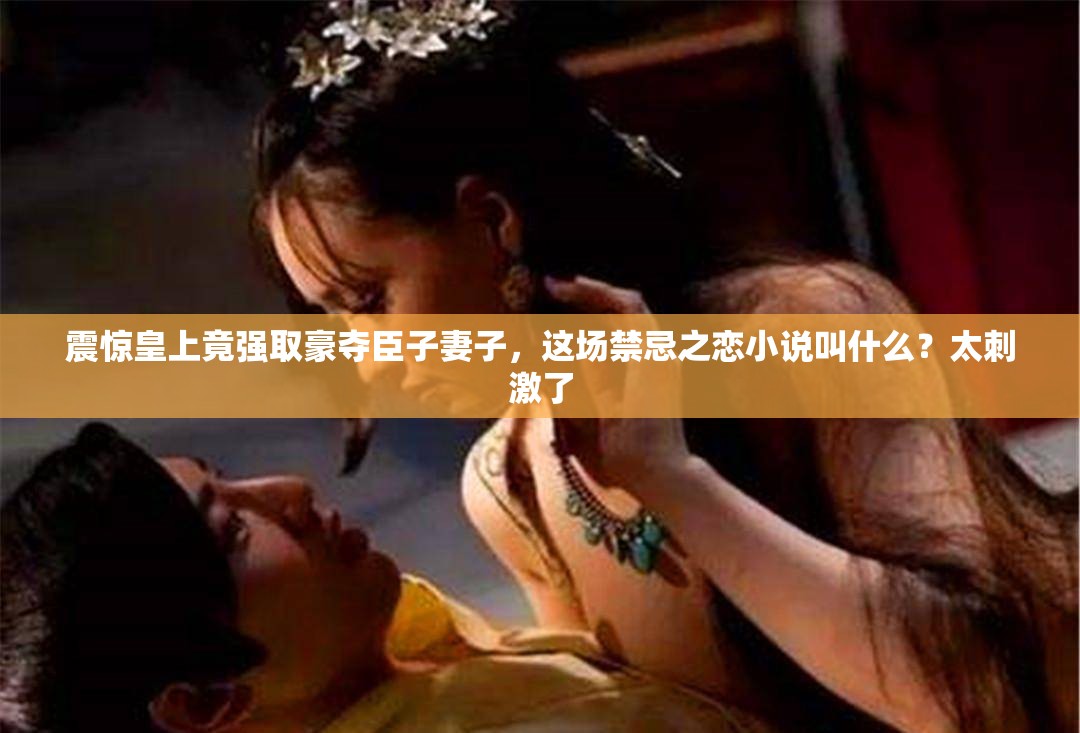 震惊皇上竟强取豪夺臣子妻子，这场禁忌之恋小说叫什么？太刺激了