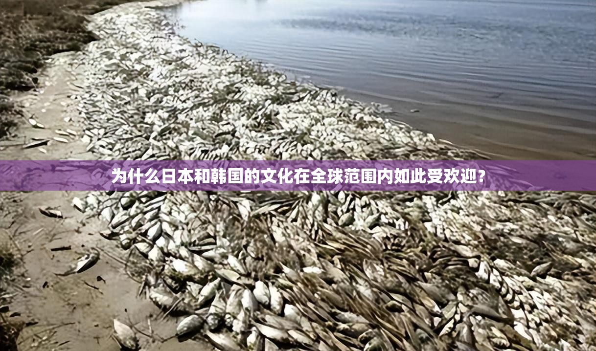 为什么日本和韩国的文化在全球范围内如此受欢迎？