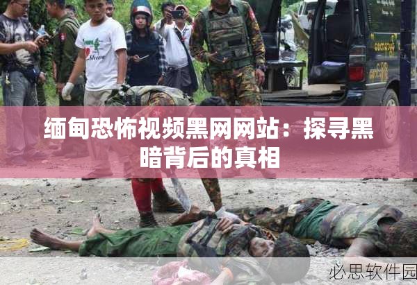 缅甸恐怖视频黑网网站：探寻黑暗背后的真相